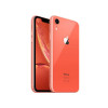 Coral-swatch