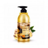 BIOAQUA Ginger Shampo for Hair Fall Solution - 400gm